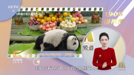 51本色
